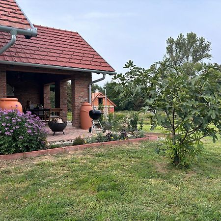 Bed and Breakfast Kosbor Panzió Magyarszombatfa Exterior foto